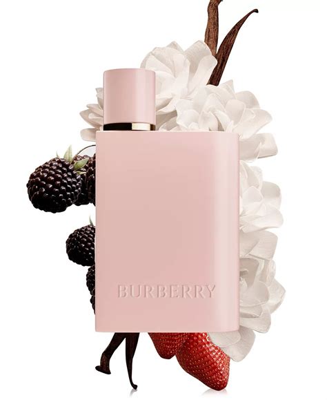 burberry elixir fragrantica|which burberry scents smells best.